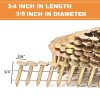 Coil Roofing Nails BHTOP 3600 Electro Galvanized-2