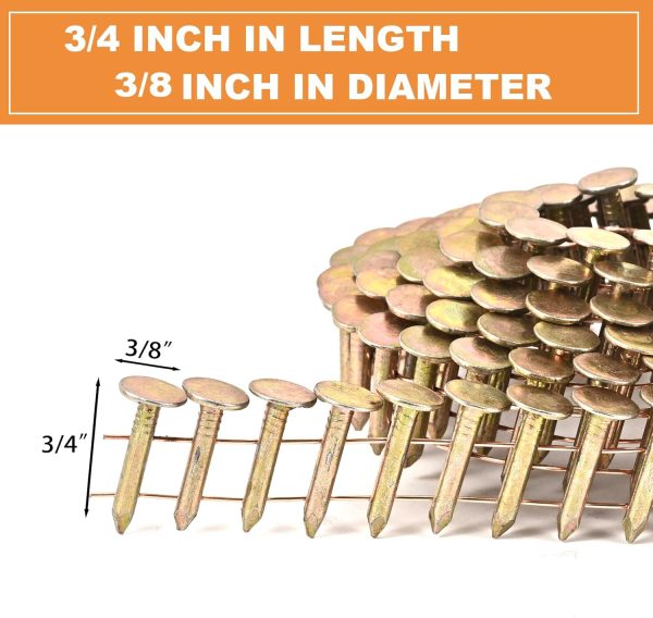 Coil Roofing Nails BHTOP 3600 Electro Galvanized-2