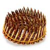 Roofing Nails BHTOP 1-1/4in Galvanized Collated-1