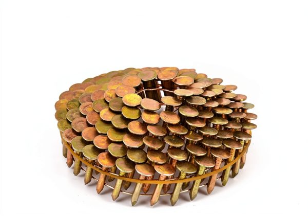 Roofing Nails BHTOP 1-1/4in Galvanized Collated-4